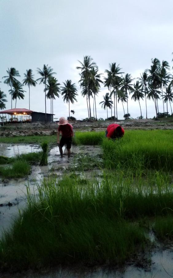 I - Talay Taling Ngam Samui - เขา ป่า นา เล ตลิ่งงาม สมุย Otel Dış mekan fotoğraf