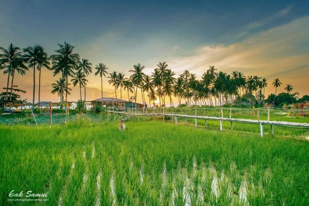 I - Talay Taling Ngam Samui - เขา ป่า นา เล ตลิ่งงาม สมุย Otel Dış mekan fotoğraf