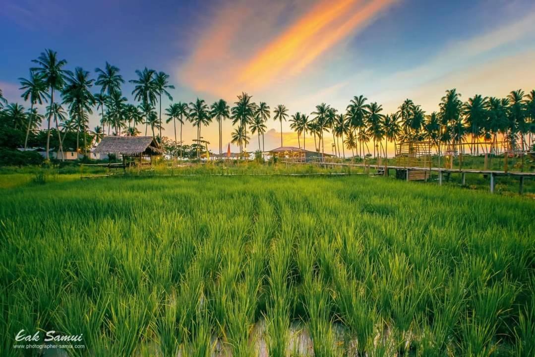 I - Talay Taling Ngam Samui - เขา ป่า นา เล ตลิ่งงาม สมุย Otel Dış mekan fotoğraf